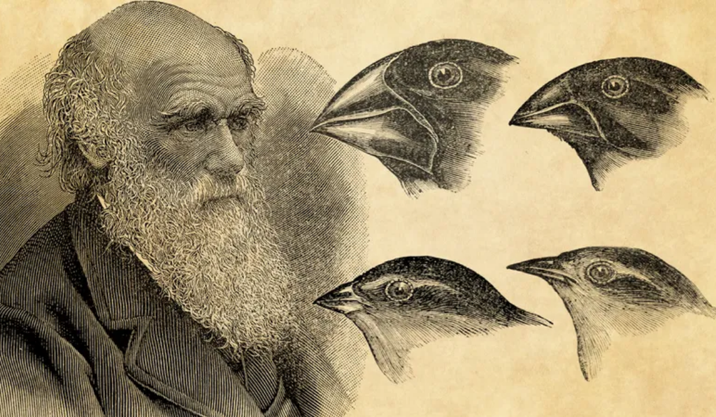 Charles Darwin