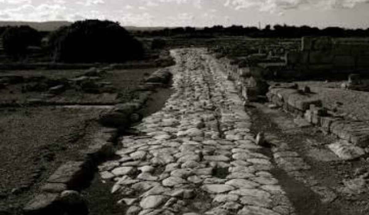Cesta Roman