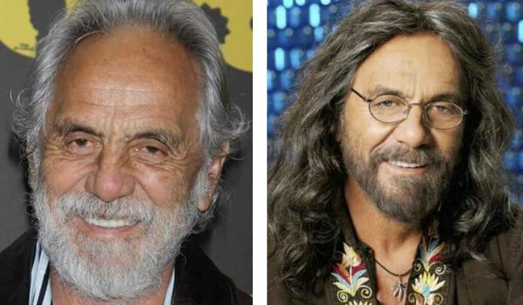 Tommy Chong Net Worth
